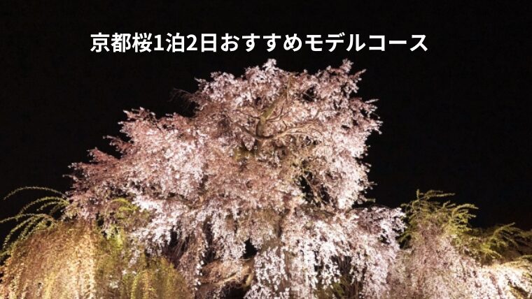 【2024年】京都桜1泊2日おすすめモデルコース｜絶景満開！見どころ完全ガイド