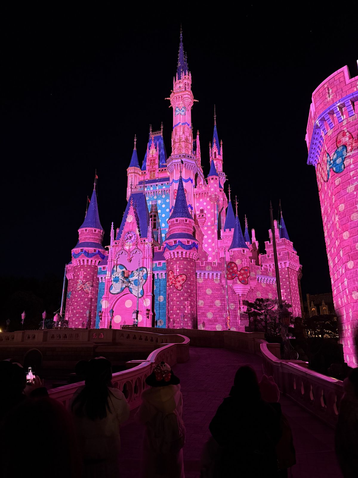 東京ディズニーランドのシンデレラ城プロジェクションマッピング(2026年1月撮影)