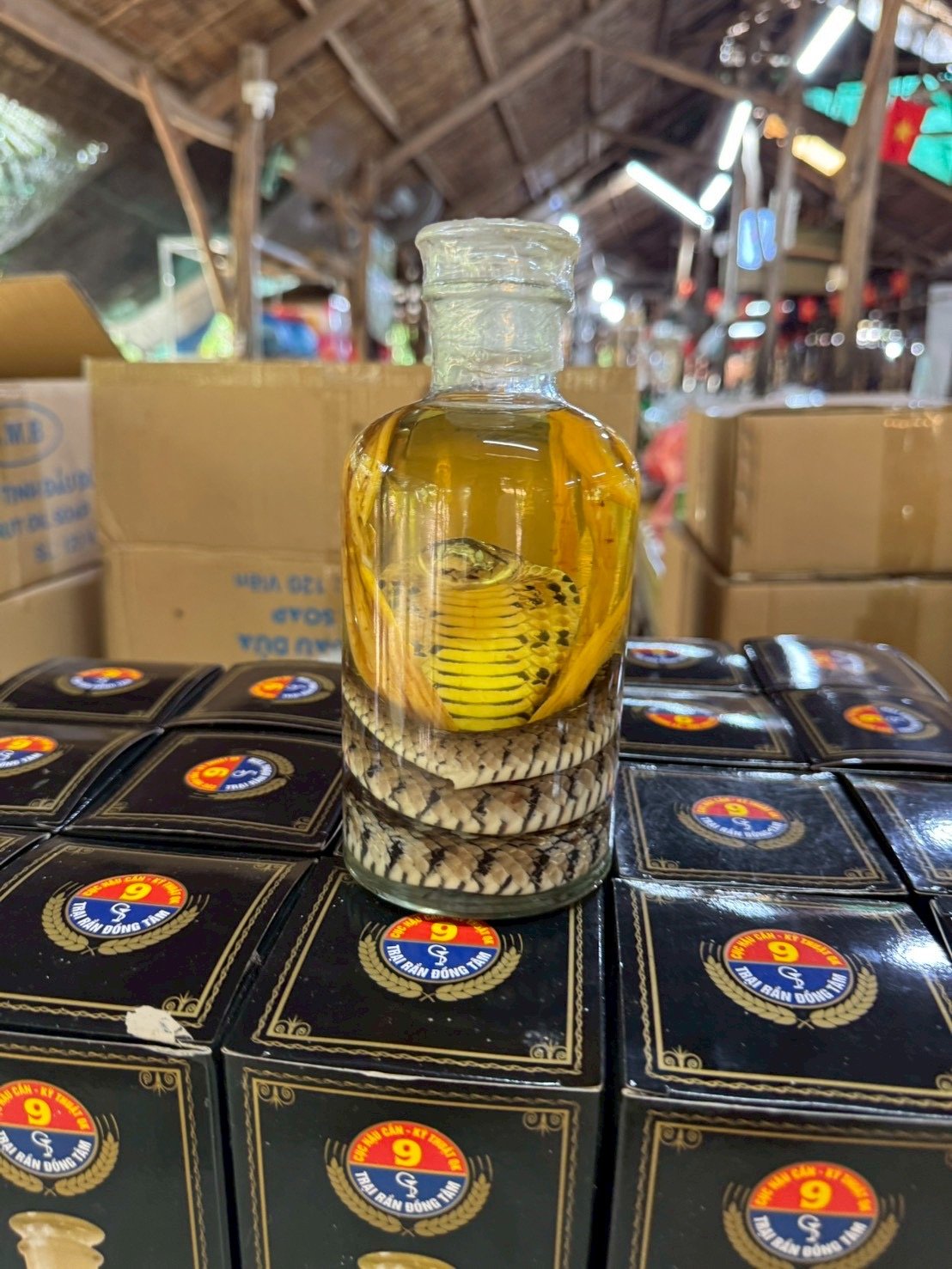 メコン川ツアー先で売られていたヘビ酒(2026年7月)